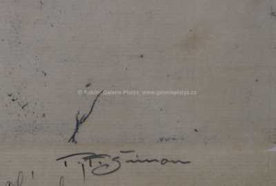  / Pražský hrad v zimě / František Tavík Šimon