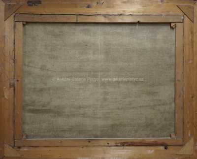  / Zámek v Poděbradech / Vlastimil  Košvanec