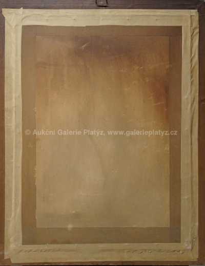  / Čtenářka / Vincent Plesnivý