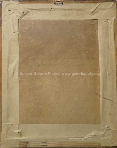  / Postava muže / Vincent Plesnivý