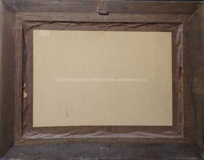  / Jihočeský statek / Ota Bubeníček