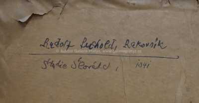  / Studie Slováka / Rudolf Puchold