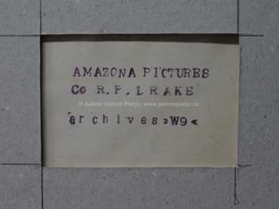  / U psích spřežení / Zdeněk Burian