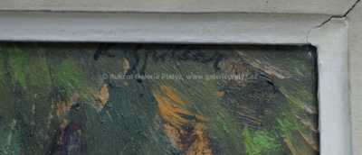  / Koupání / Karel Špillar