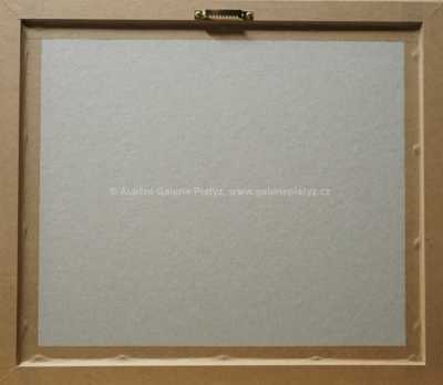  / Pračlověk / Zdeněk Burian