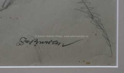  / Pračlověk / Zdeněk Burian