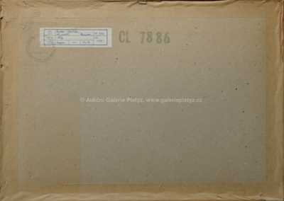  / Štíty / Radko Mašata