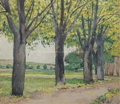  / Stromořadí / Josef Jambor
