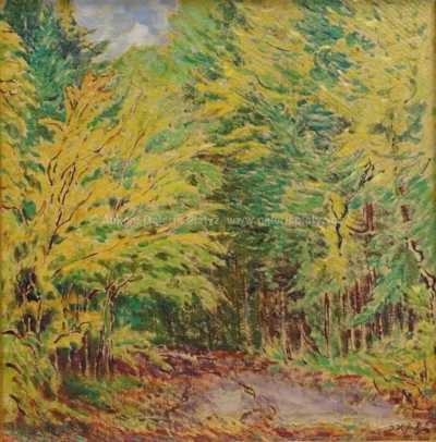  / Cesta lesem / Jan Honsa