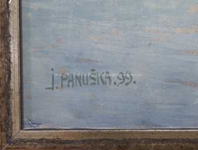  / Zarostlý rybník / Jaroslav Panuška