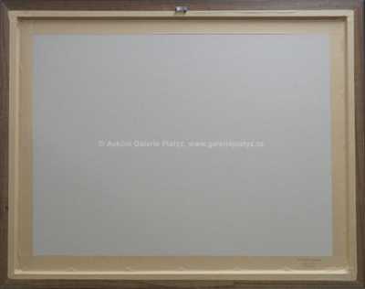  / Zarostlý rybník / Jaroslav Panuška