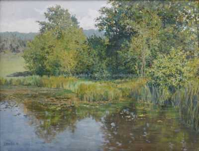  / Zarostlý rybník / Jaroslav Panuška