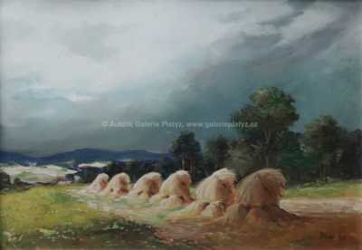  / Žně / Gustav Macoun