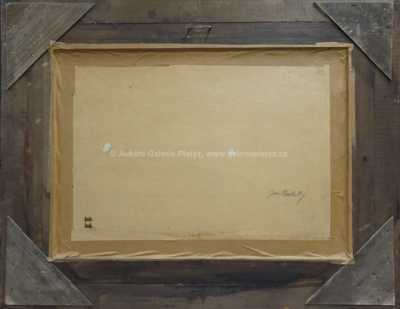  / Chaloupky pod stromy / Ota Bubeníček