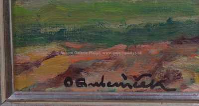  / Chaloupka na Svratce / Ota Bubeníček