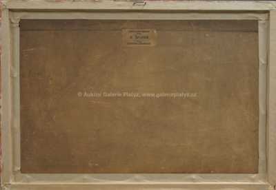  / Chaloupka na Svratce / Ota Bubeníček