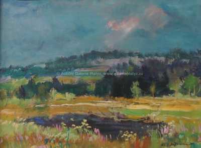  / Tůňka / Karel Jan Sigmund