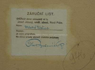  / Mladá Vožice / Ota Bubeníček