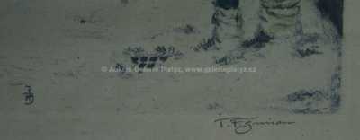  / Zlatá ulička / František Tavík Šimon