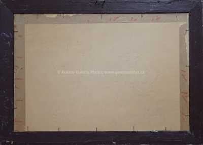  / Zrcadlení / František Daněk - Sedláček