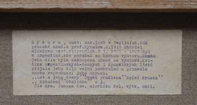  / Zasněná / Gustav Sýkora