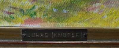  / Stromovka / Václav Knotek - Juhas