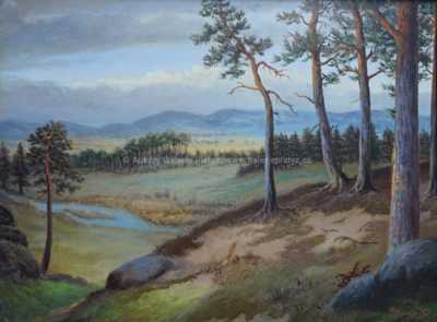  / Borovicový háj / Josef Kosejk