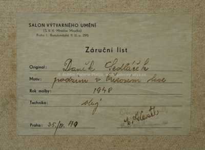  / Podzim v březovém lese / František Daněk - Sedláček