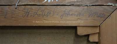  / Jihočeská Venuše / František Líbal