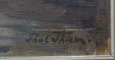  / Alpské údolí / Paul Thiem