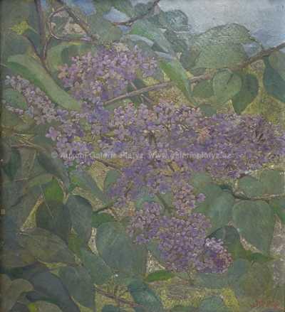  / Šeříky / Jan B. Minařík