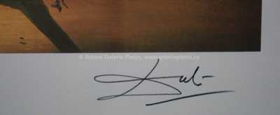  / Figury / Salvador Dalí