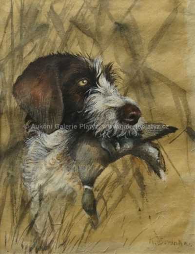  / Lovecký pes / Karel Sovánka