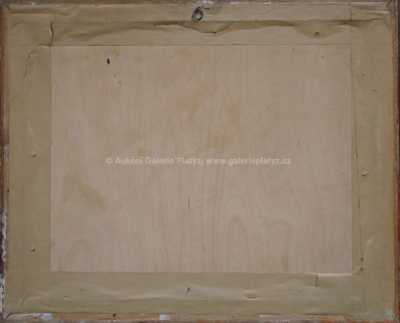  / Po bouři / Viktor  Rolín