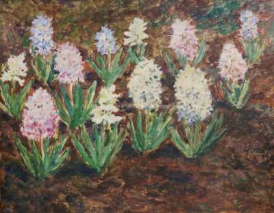  / Rozkvetlé hyacinty / František Kaván