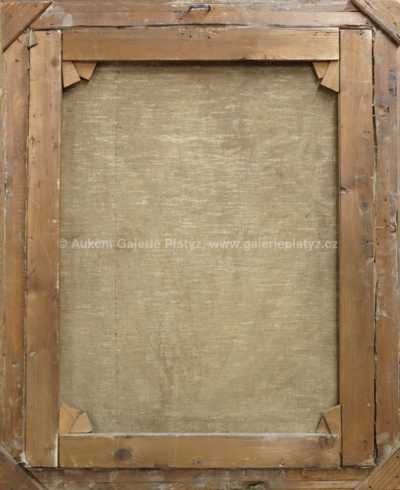  / Vánoční kaktus / Jan B. Minařík