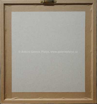  / Trosečník / Zdeněk Burian