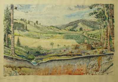  / Z Vysočiny / Zdeněk Burian