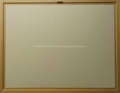  / Z Vysočiny / Zdeněk Burian