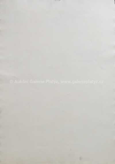  / Duo / Jiří Balcar