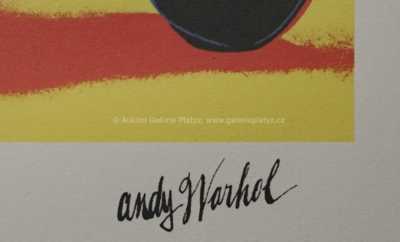  / Mercedes W / Andy Warhol
