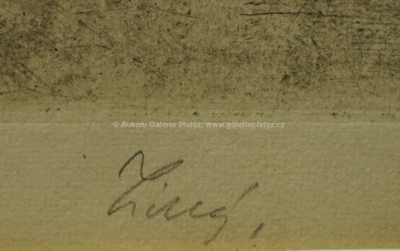  / Leda s labutí / František  Tichý