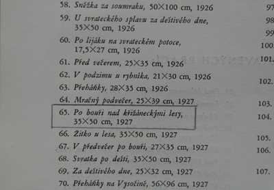  / Po bouři nad Křížáneckými lesy / Ota Bubeníček