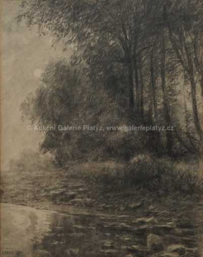  / Zarostlý břeh /  Josef Holub