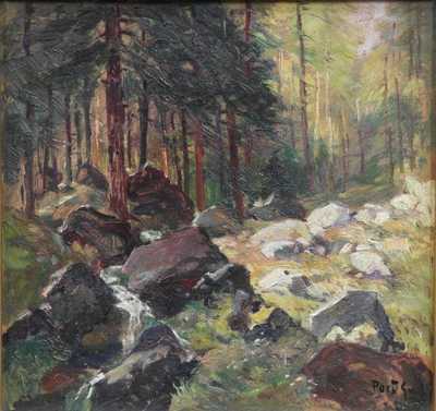  / Potůček v lese / Gustav  Porš
