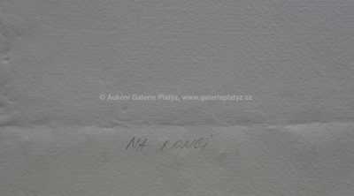  / Na konci / Olbram Zoubek