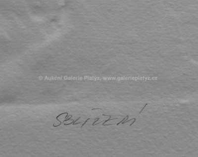  / Sblížení / Olbram Zoubek