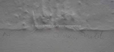  / Konvolut dvou kusů / Olbram Zoubek