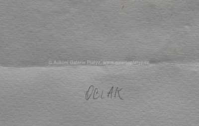  / Oblak / Olbram Zoubek