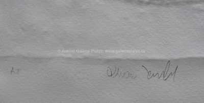  / Oblak / Olbram Zoubek